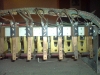 DSC01003.JPG